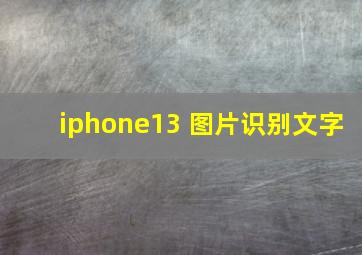 iphone13 图片识别文字